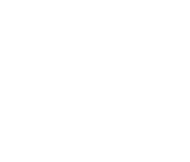 United Nations emblem